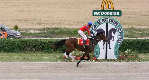 Race 7 confirmed result