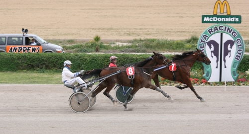 Race 8 confirmed result