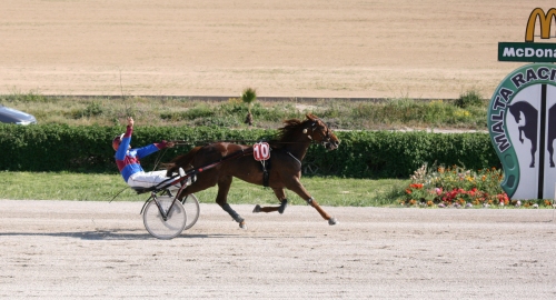 Race 8 confirmed result