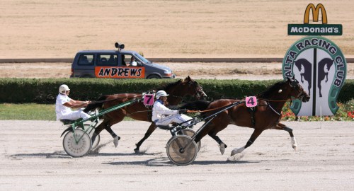 Race 5 confirmed result