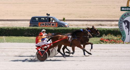 Race 7 confirmed result