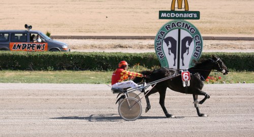 Race 8 confirmed result