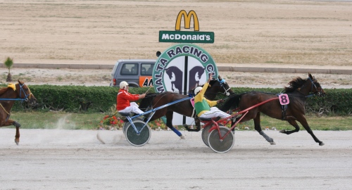 Race 5 confirmed result
