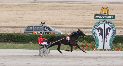 Race 8 confirmed result