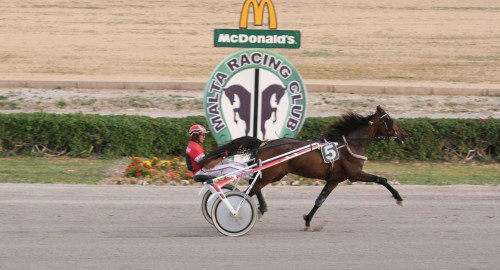 Race 4 confirmed result