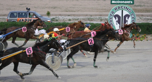 Race 5 confirmed result