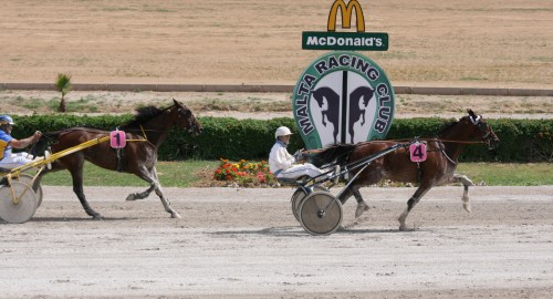 Race 5 confirmed result