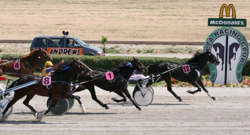 Race 5 confirmed result