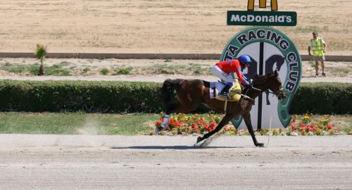 Race 6 confirmed result