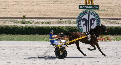 Race 7 confirmed result