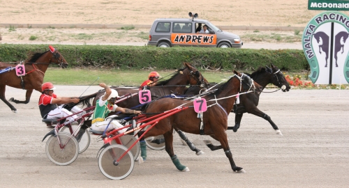 Race 5 confirmed result