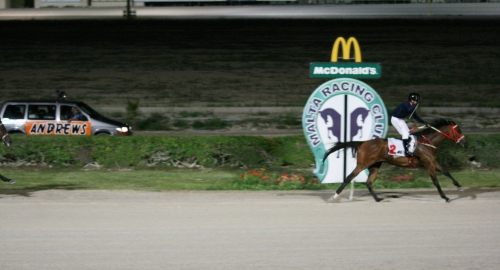 Race 7 confirmed result