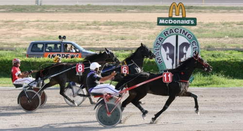 Race 8 confirmed result