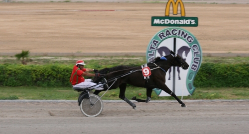 Race 8 confirmed result