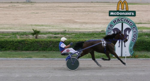 Race 7 confirmed result