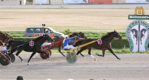 Race 5 confirmed result