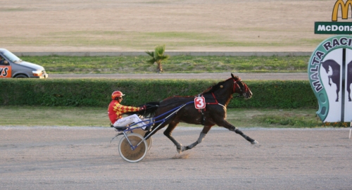 Race 8 confirmed result