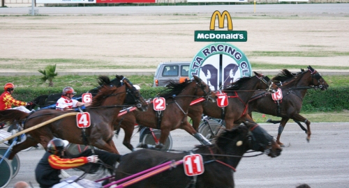 Race 8 confirmed result
