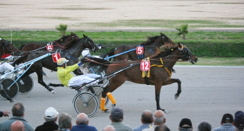 Race 8 confirmed result