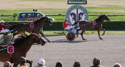 Race 5 confirmed result