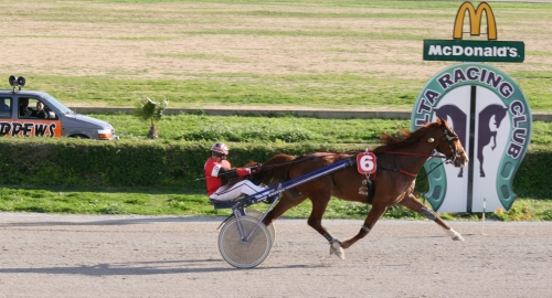 Race 8 confirmed result