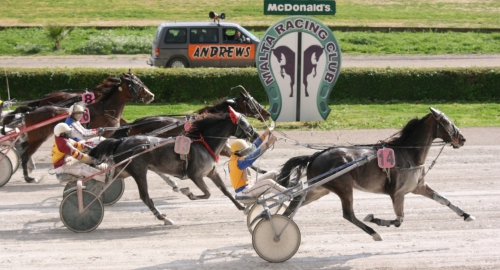 Race 5 confirmed result