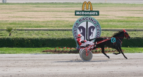 Race 6 confirmed result