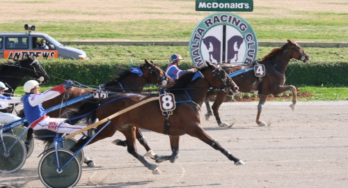 Race 7 confirmed result