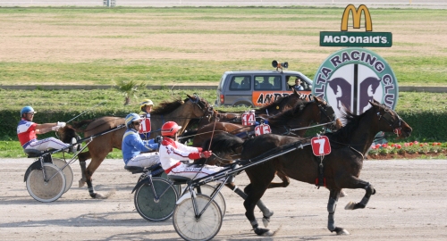 Race 8 confirmed result