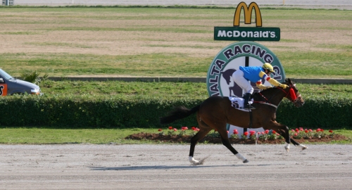 Race 7 confirmed result