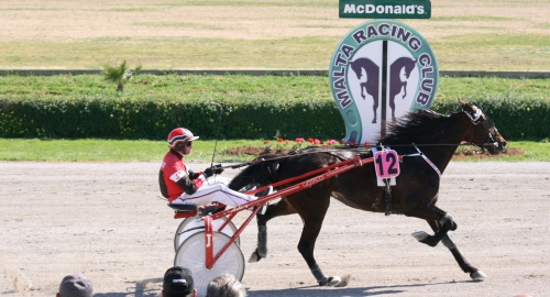 Race 5 confirmed result