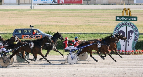 Race 7 confirmed result