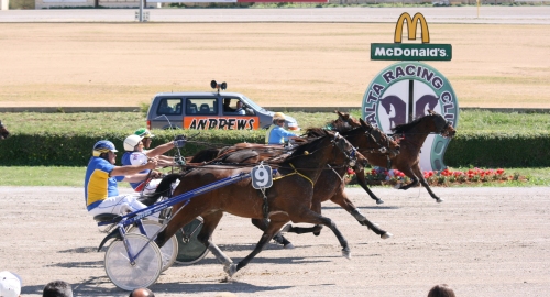 Race 4 confirmed result