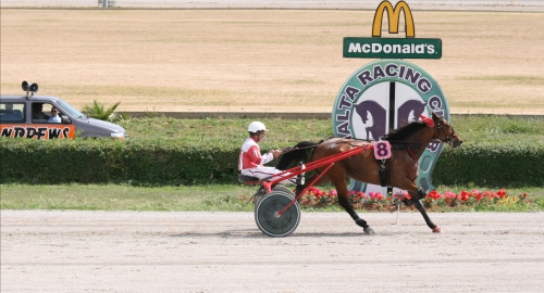 Race 5 confirmed result