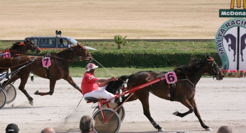 Race 5 confirmed result