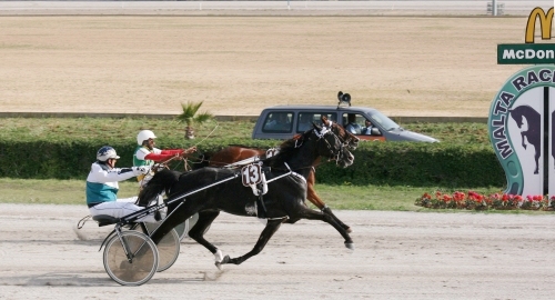 Race 7 confirmed result