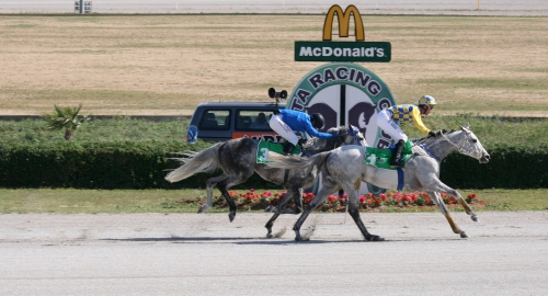 Race 7 confirmed result