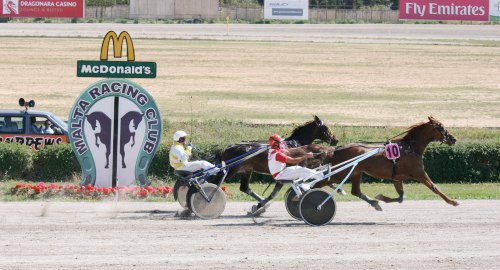 Race 5 confirmed result