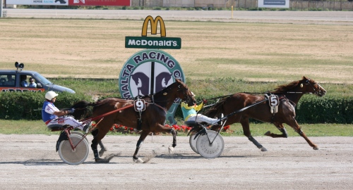 Race 7 confirmed result