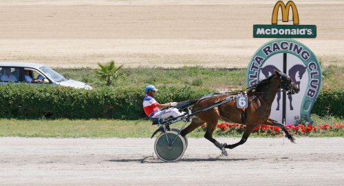 Race 4 confirmed result