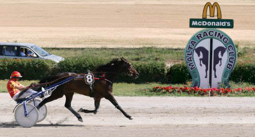 Race 7 confirmed result