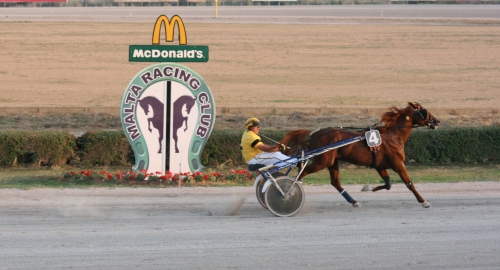 Race 4 confirmed result