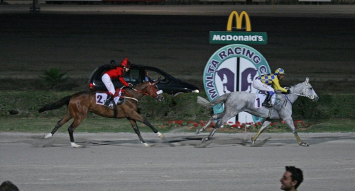 Race 7 confirmed result