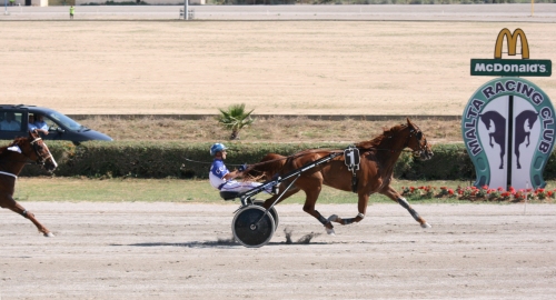 Race 7 confirmed result