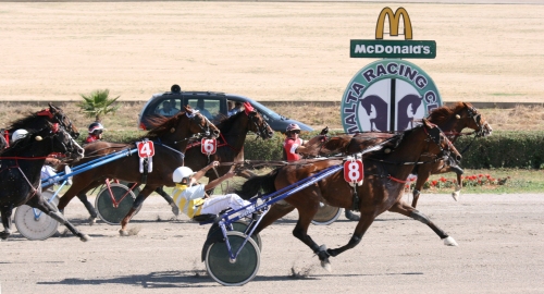 Race 8 confirmed result