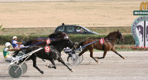 Race 8 confirmed result