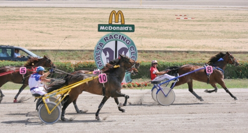 Race 5 confirmed result