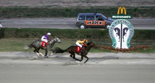 Race 5 confirmed result