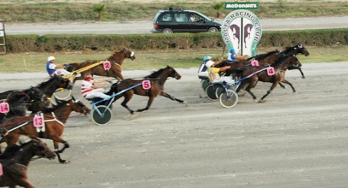 Race 5 confirmed result