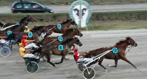 Race 6 confirmed result